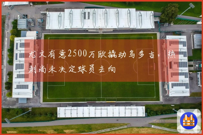 尤文有意2500万欧撬动乌多吉，热刺尚未决定球员去向