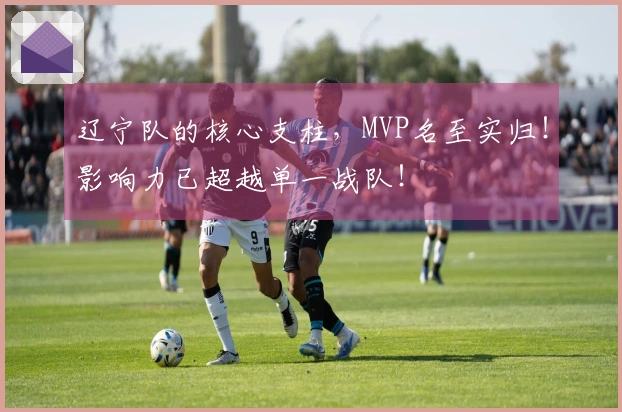 辽宁队的核心支柱，MVP名至实归！影响力已超越单一战队！